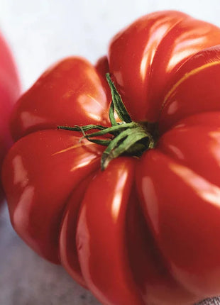 GIANT DELICIOUS TOMATO / UP TO 2KG