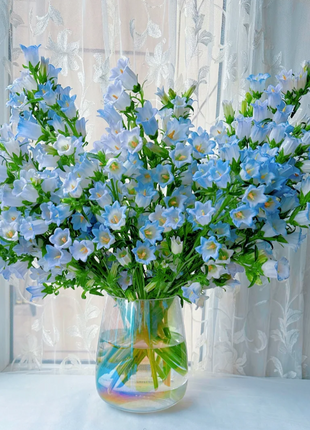 🔔Bellflower Seeds—Lucky Flower