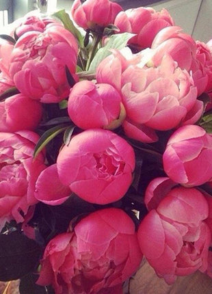 10Pcs Chinese Peony Flower Seeds Perennial Paeonia Suffruticosa Bonsai Plants Home Garden