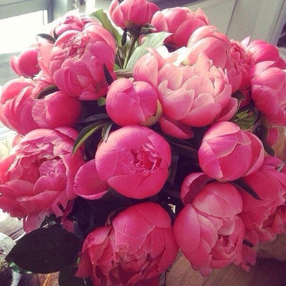10Pcs Chinese Peony Flower Seeds Perennial Paeonia Suffruticosa Bonsai Plants Home Garden