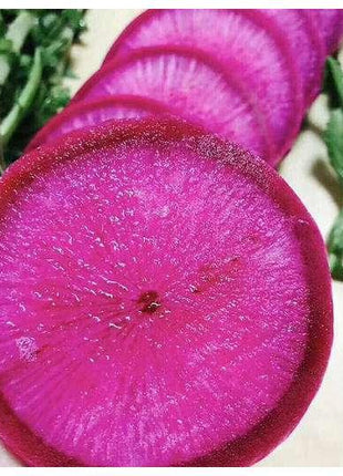 Pineapple Fruit Radish Seeds🥕