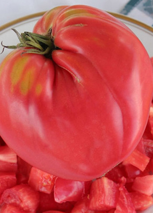Organic Oxheart Tomato Seeds