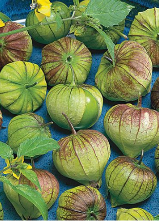 Super Verde Tomatillo Seeds