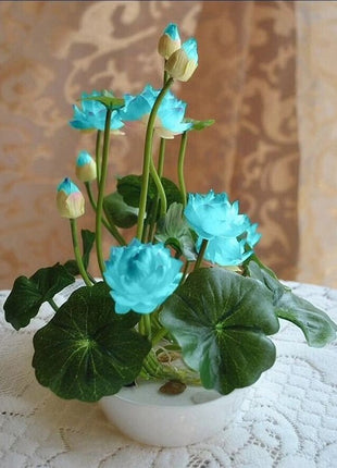 The Sacred Bonsai Lotus Flower