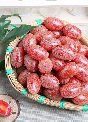 Elaeagnus Conferta Seeds