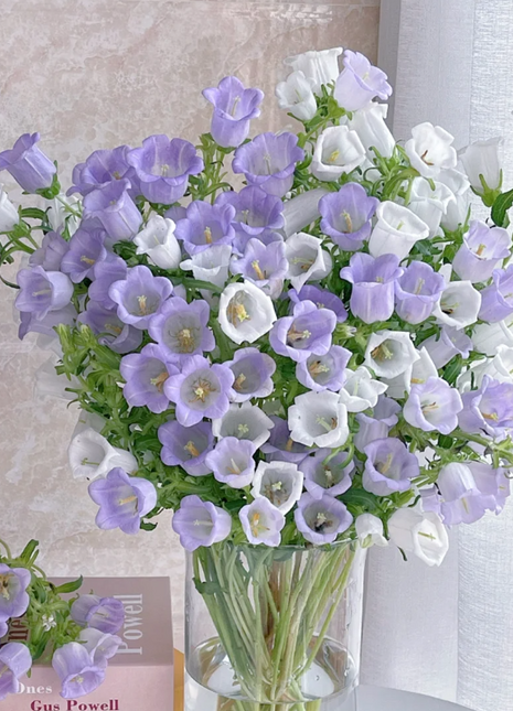 Campanula-Blessings From Afar