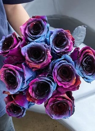 Starry Sky Roses