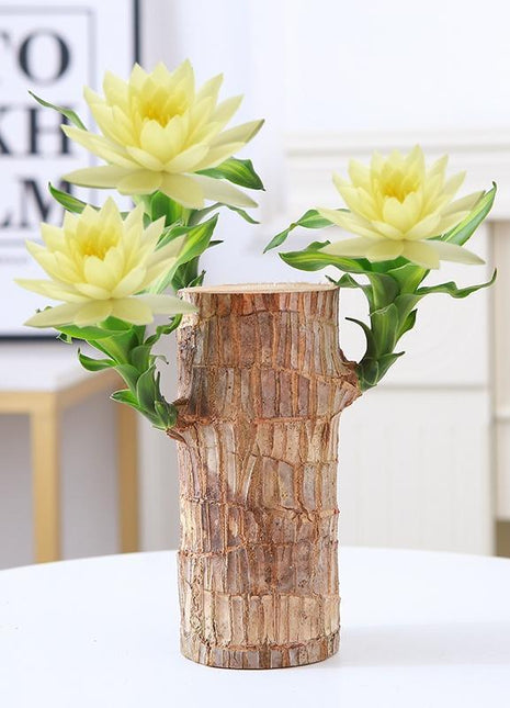 Lucky Brazilian Wood Tree with Elegant Ceramic Pot & Enchanted Doll – Symbol of Growth and Positive Energy