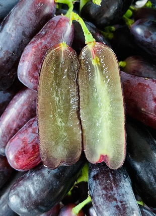 Sweet Sapphire Grape Seeds