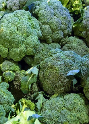 Broccoli Emerald Crown F1