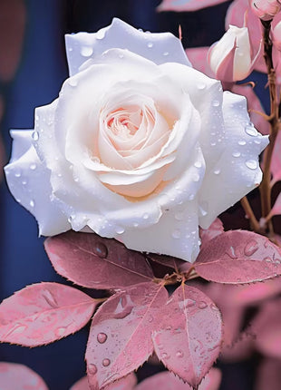 Rare Fresh White Rose Seeds