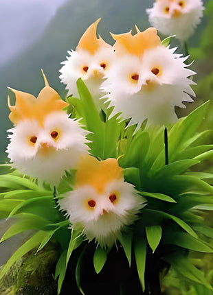 Novel Plants✨Dazzling Animals' Eye Seeds🔥2025 New Arrivals