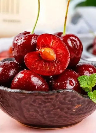 🍒Rainier Cherry Fruit Seeds(🌿99% Germination)