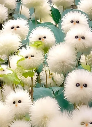 White cat's eye ball flower