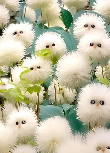 White cat's eye ball flower