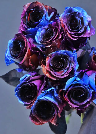 Starry Sky Roses