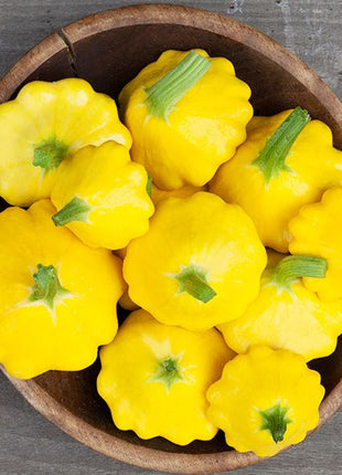 Pattypan Squash Seeds