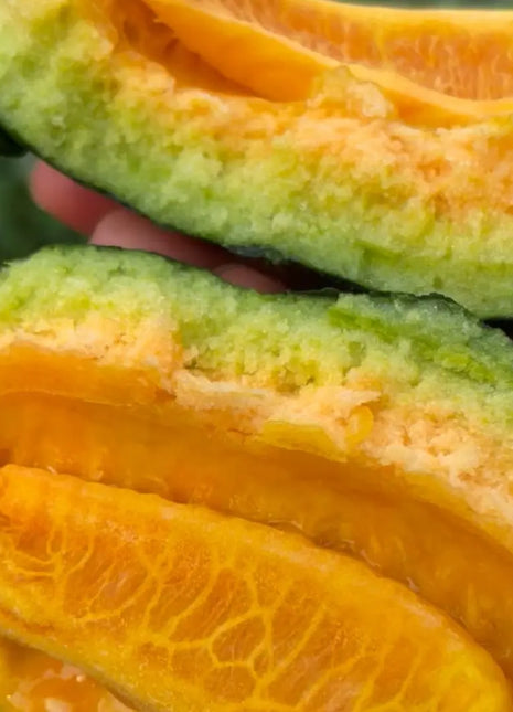 Melon Seeds The Most Suitable Melon for the Elderly and Children