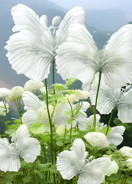 White Butterfly Flower Seeds