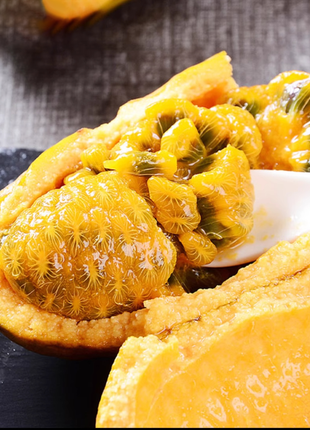 Stauntonia Leucantha Seeds