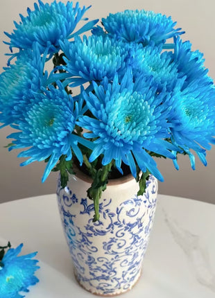 Anna Chrysanthemum Seeds