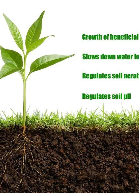 Soil Revitalizer 8.5 oz – Fast-Acting Formula to Restore Nutrients and Boost Plant Growth