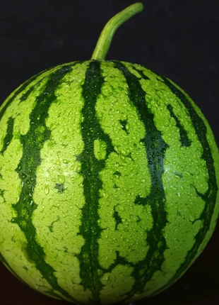 Ruby Watermelon Seeds