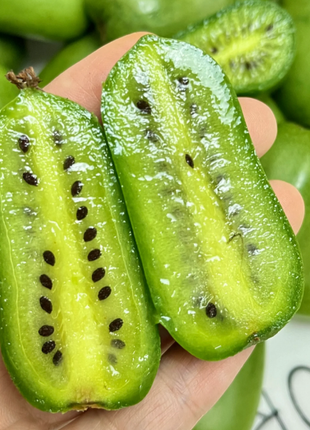 Soft Date Kiwi Seeds