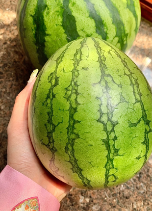 Ruby Watermelon Seeds
