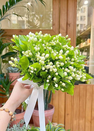 Double Jasmine Seeds