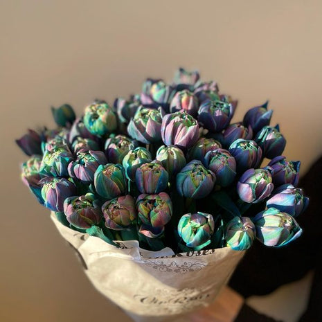 Tulipany Double Bubble