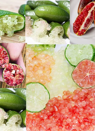 Finger Lime Seeds Lemon Caviar Seeds