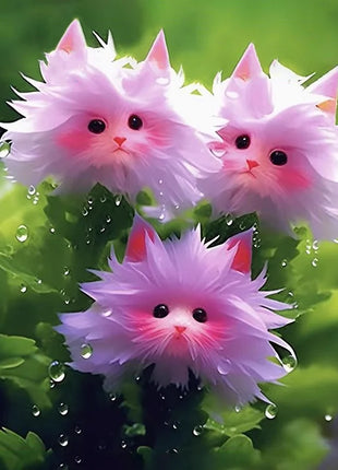 🔥Amazing Plants! 🌈🐱Cat's Eye Dazzle Flower