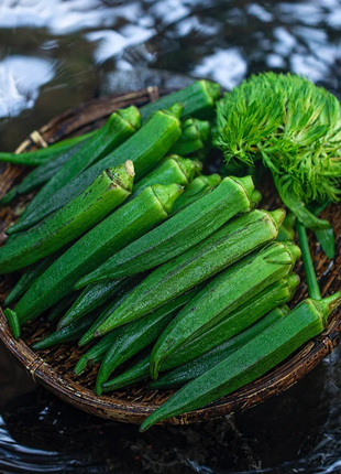 Fruit Okra Seeds