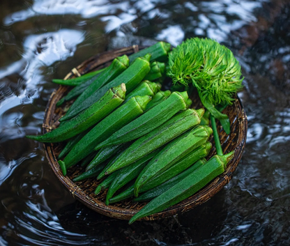Fruit Okra Seeds