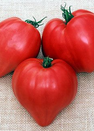Organic Oxheart Tomato Seeds