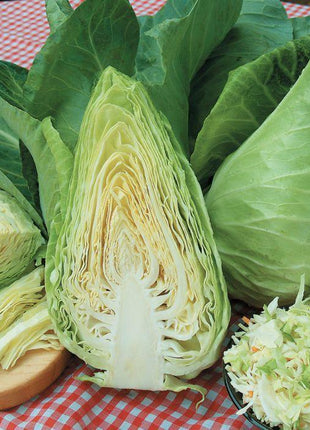 Cabbage Caraflex F1 Organic