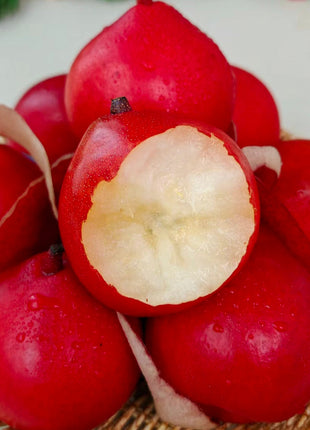 Piqa Boo Pears-Named Ice Cream among Fruits