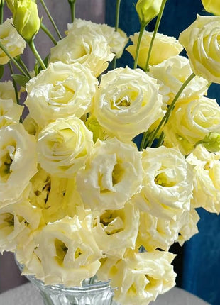 💐Lisianthus - A Sincere and Immutable Love