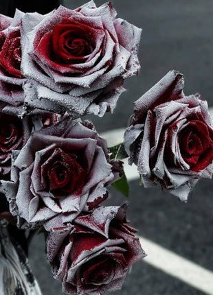 ❄️Falling Snow Thorns Red Rose Seeds