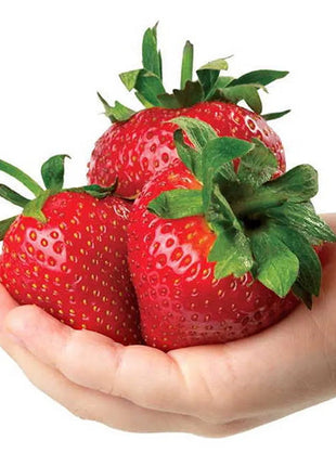 Whopper Strawberry