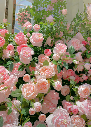 Garden Climbing Rose Flower Seeds