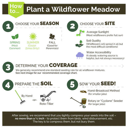First Year Flowering Perennial Wildflower Seed Mix