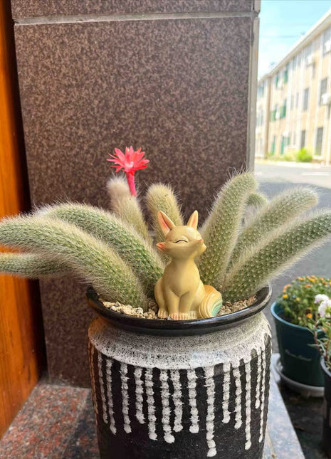 Monkey Tail Cactus Seeds-Nine Tailed Fox