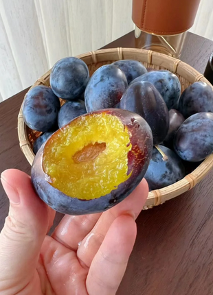 Blue Honey Prune Seeds