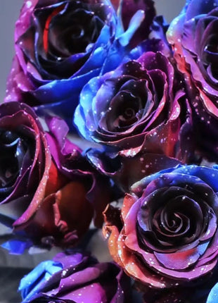 Starry Sky Roses
