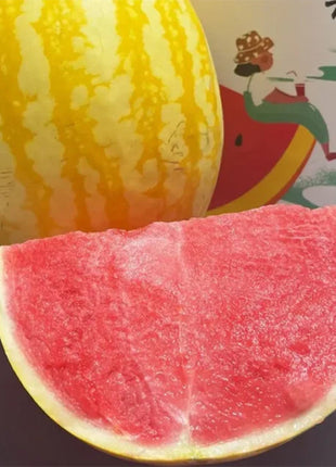 Golden Red Watermelon Seeds
