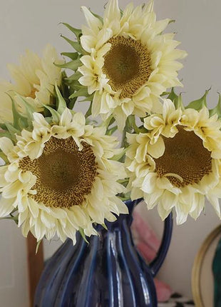 Butter Sunflower Seeds