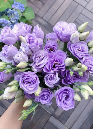 💐Lisianthus - A Sincere and Immutable Love