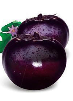 Beijing eggplant round organic vegetable eggplant seeds 100seed